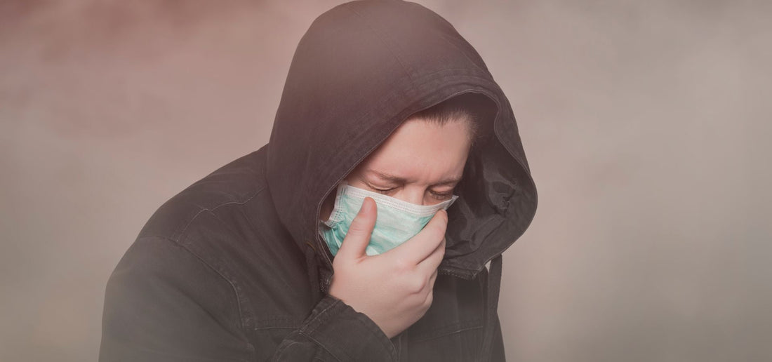 Air Pollution in India After Diwali: Why Delhi, Haryana & Punjab Suffer — and How Eucalyptus Essential Oil Helps You Breathe Better