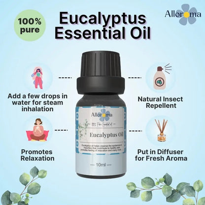 100% pure Eucalyptus Essential Oil - Dazze and blussh - Essential oil uses