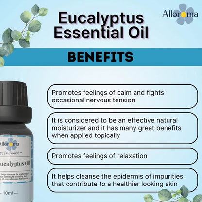 100% pure Eucalyptus Essential Oil - Dazze and blussh - Essential oil benefits
