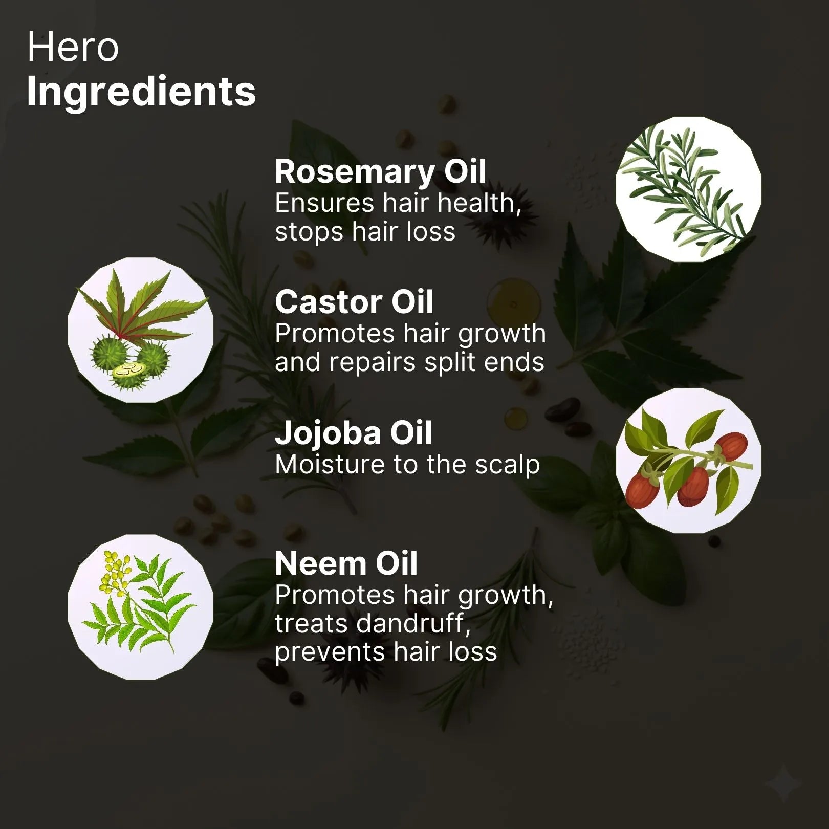 Rosemary Hair Oil - Dazze and blussh
